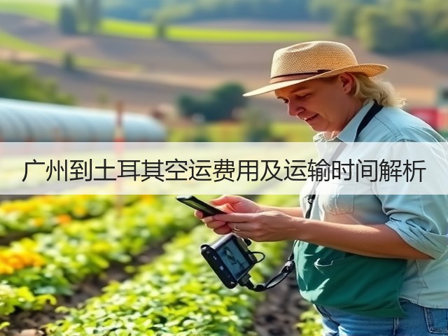 广州到土耳其空运费用及运输时间解析(图3) 广州到土耳其空运费用及运输时间解析(图3)