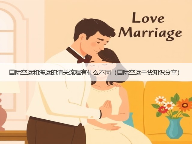 国际空运和海运的清关流程有什么不同(国际空运干货知识分享)(图2) 国际空运和海运的清关流程有什么不同(国际空运干货知识分享)(图2)