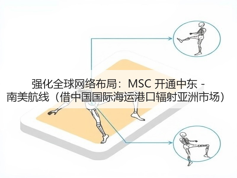 强化全球网络布局：MSC 开通中东 - 南美航线（借中国国际海运港口辐射亚洲市场）