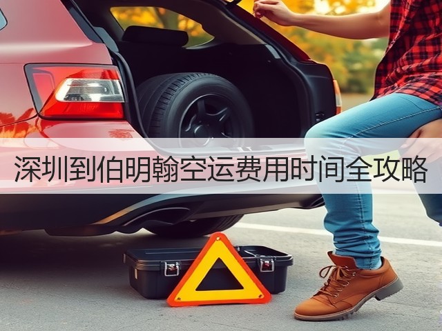 深圳到伯明翰空运费用时间全攻略(图3) 深圳到伯明翰空运费用时间全攻略(图3)