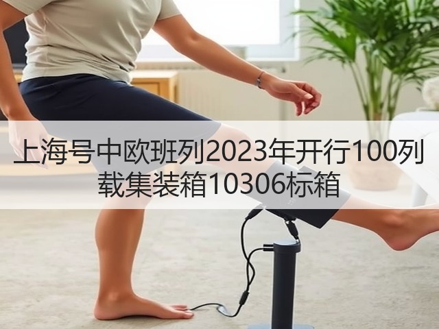 上海号中欧班列2023年开行100列 载集装箱10306标箱(图3) 上海号中欧班列2023年开行100列 载集装箱10306标箱(图3)
