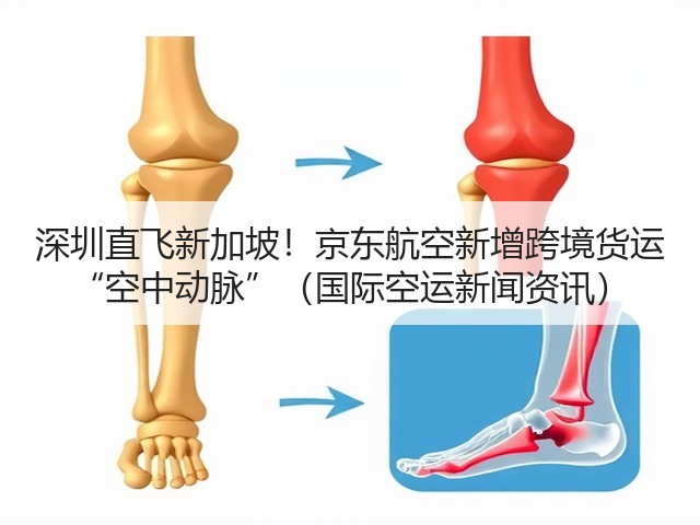 深圳直飞新加坡!京东航空新增跨境货运 “空中动脉”(国际空运新闻资讯)(图3) 深圳直飞新加坡!京东航空新增跨境货运 “空中动脉”(国际空运新闻资讯)(图3)