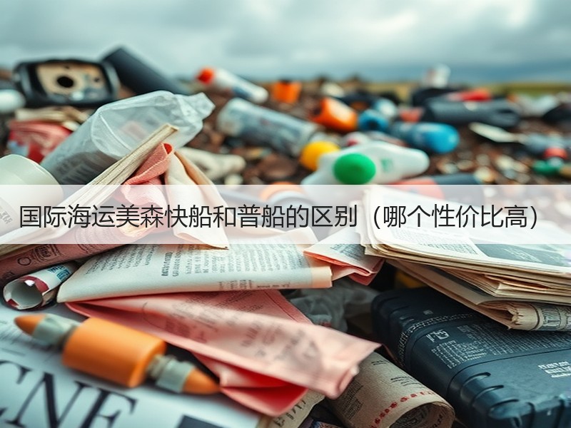 国际海运美森快船和普船的区别（哪个性价比高）