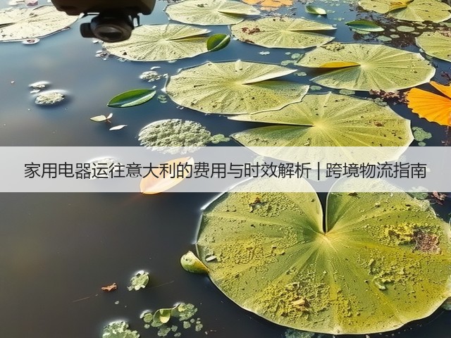 家用电器运往意大利的费用与时效解析 | 跨境物流指南(图2) 家用电器运往意大利的费用与时效解析 | 跨境物流指南(图2)