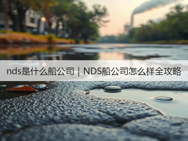 nds是什么船公司|NDS船公司怎么样全攻略(图2) nds是什么船公司|NDS船公司怎么样全攻略(图2)