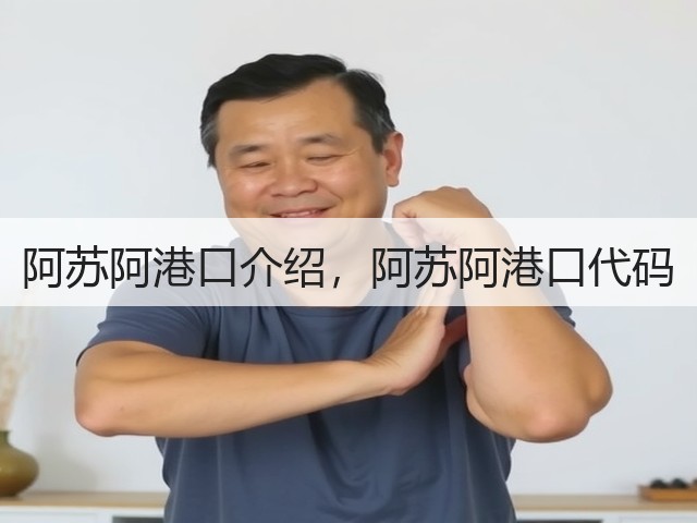 阿苏阿港口介绍,阿苏阿港口代码(图3) 阿苏阿港口介绍,阿苏阿港口代码(图3)