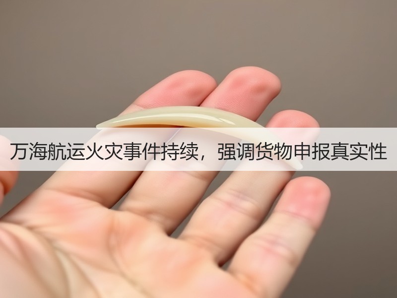 万海航运火灾事件持续,强调货物申报真实性 万海航运火灾事件持续,强调货物申报真实性