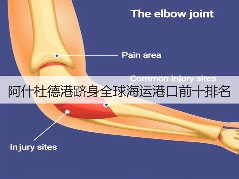 阿什杜德港跻身全球海运港口前十排名 阿什杜德港跻身全球海运港口前十排名