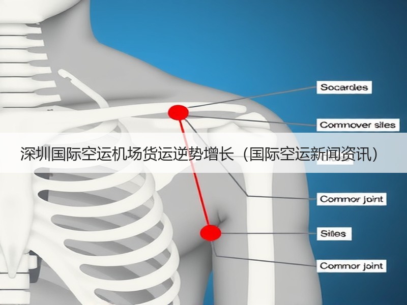 深圳国际空运机场货运逆势增长(国际空运新闻资讯) 深圳国际空运机场货运逆势增长(国际空运新闻资讯)