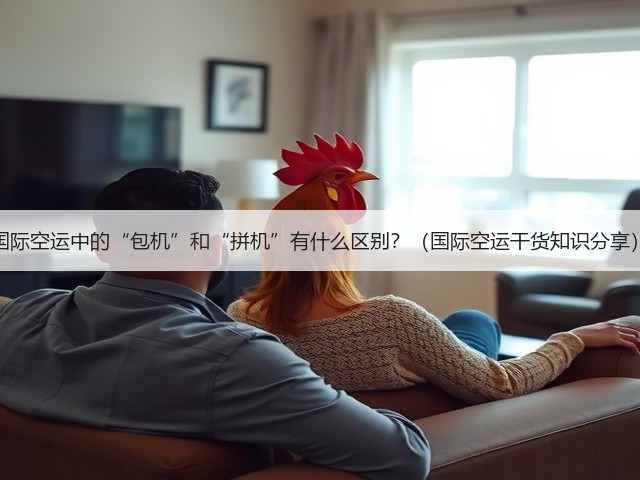 国际空运中的“包机”和“拼机”有什么区别?(国际空运干货知识分享)(图1) 国际空运中的“包机”和“拼机”有什么区别?(国际空运干货知识分享)(图1)