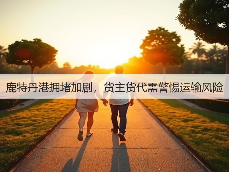 鹿特丹港拥堵加剧,货主货代需警惕运输风险 鹿特丹港拥堵加剧,货主货代需警惕运输风险