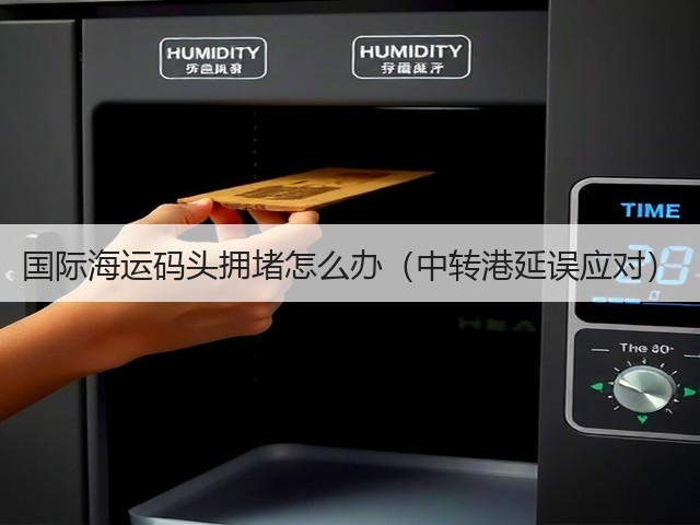 国际海运码头拥堵怎么办(中转港延误应对)(图3) 国际海运码头拥堵怎么办(中转港延误应对)(图3)