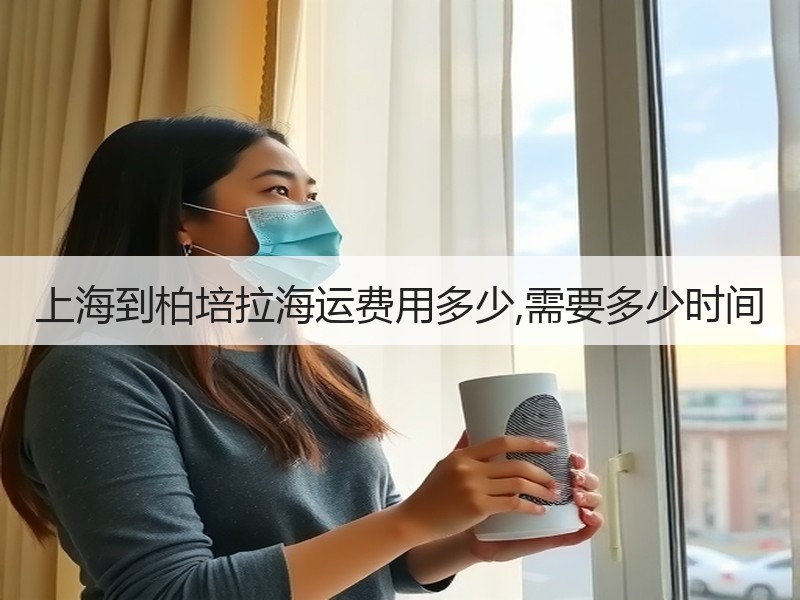 上海到柏培拉海运费用多少,需要多少时间