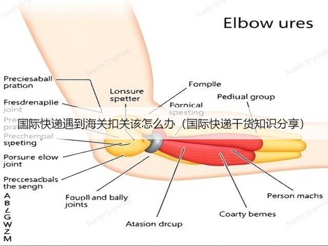 国际快递遇到海关扣关该怎么办(国际快递干货知识分享)(图1) 国际快递遇到海关扣关该怎么办(国际快递干货知识分享)(图1)