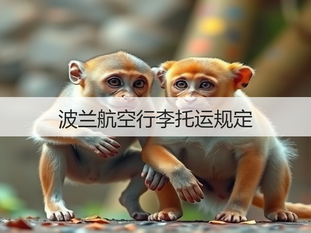 波兰航空行李托运规定(图3) 波兰航空行李托运规定(图3)