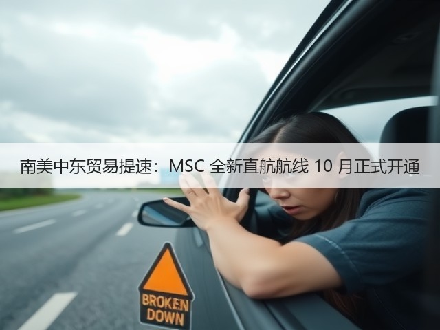 南美中东贸易提速:MSC 全新直航航线 10 月正式开通(图3) 南美中东贸易提速:MSC 全新直航航线 10 月正式开通(图3)