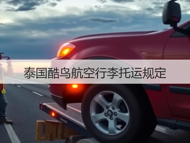 泰国酷鸟航空行李托运规定(图3) 泰国酷鸟航空行李托运规定(图3)