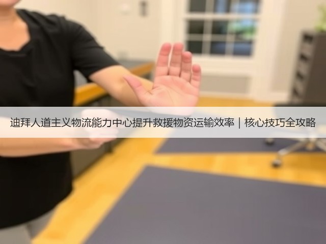 迪拜人道主义物流能力中心提升救援物资运输效率|核心技巧全攻略(图2) 迪拜人道主义物流能力中心提升救援物资运输效率|核心技巧全攻略(图2)