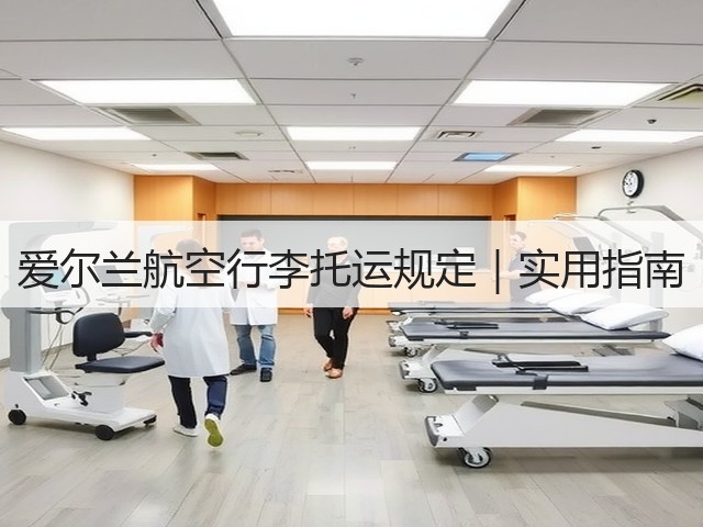 爱尔兰航空行李托运规定|实用指南(图1) 爱尔兰航空行李托运规定|实用指南(图1)