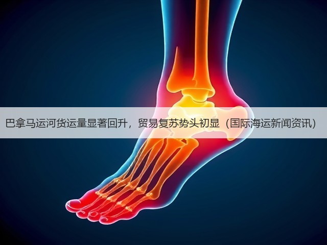 巴拿马运河货运量显著回升,贸易复苏势头初显(国际海运新闻资讯)(图3) 巴拿马运河货运量显著回升,贸易复苏势头初显(国际海运新闻资讯)(图3)