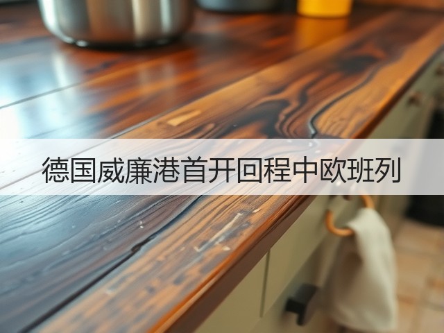 德国威廉港首开回程中欧班列(图2) 德国威廉港首开回程中欧班列(图2)