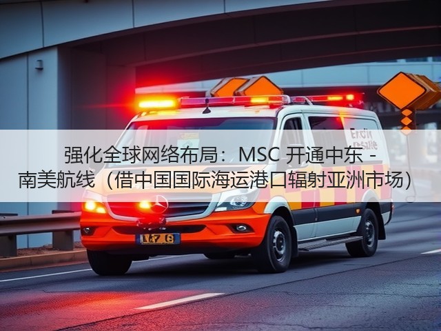 强化全球网络布局:MSC 开通中东 - 南美航线(借中国国际海运港口辐射亚洲市场)(图2) 强化全球网络布局:MSC 开通中东 - 南美航线(借中国国际海运港口辐射亚洲市场)(图2)