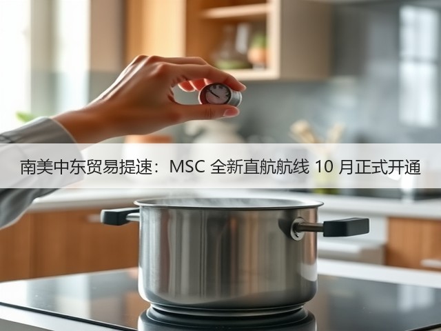 南美中东贸易提速:MSC 全新直航航线 10 月正式开通(图1) 南美中东贸易提速:MSC 全新直航航线 10 月正式开通(图1)