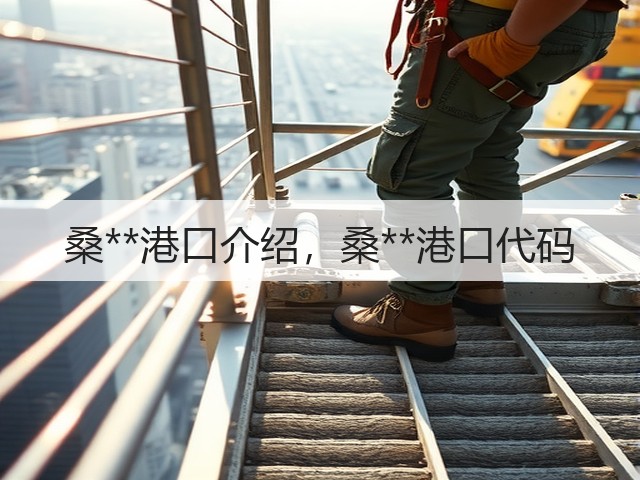桑**港口介绍,桑**港口代码(图3) 桑**港口介绍,桑**港口代码(图3)