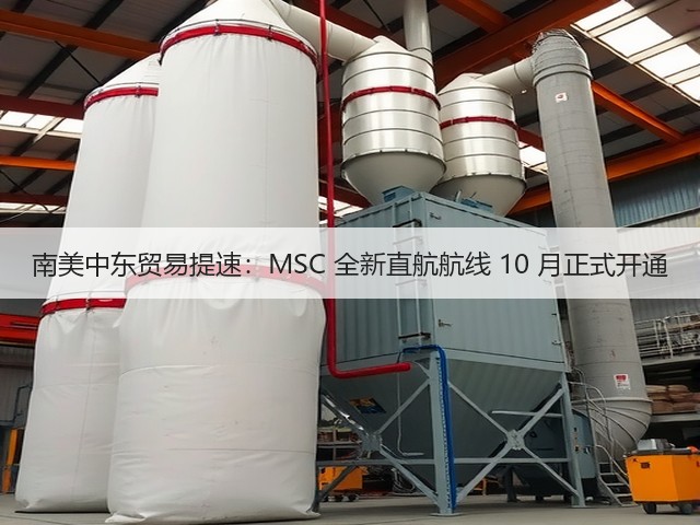 南美中东贸易提速:MSC 全新直航航线 10 月正式开通(图3) 南美中东贸易提速:MSC 全新直航航线 10 月正式开通(图3)