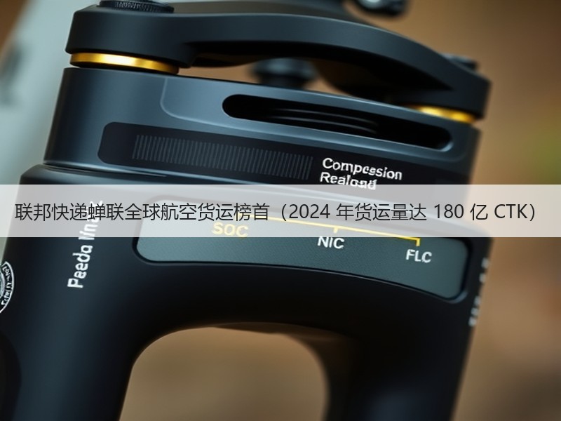 联邦快递蝉联全球航空货运榜首(2024 年货运量达 180 亿 CTK) 联邦快递蝉联全球航空货运榜首(2024 年货运量达 180 亿 CTK)