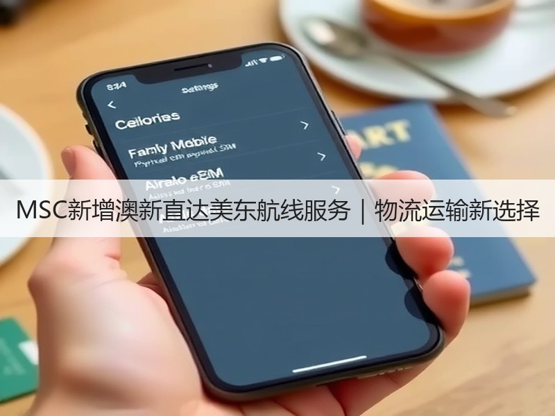 MSC新增澳新直达美东航线服务｜物流运输新选择