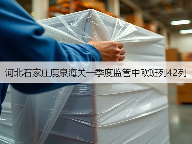 河北石家庄鹿泉海关一季度监管中欧班列42列(图3) 河北石家庄鹿泉海关一季度监管中欧班列42列(图3)