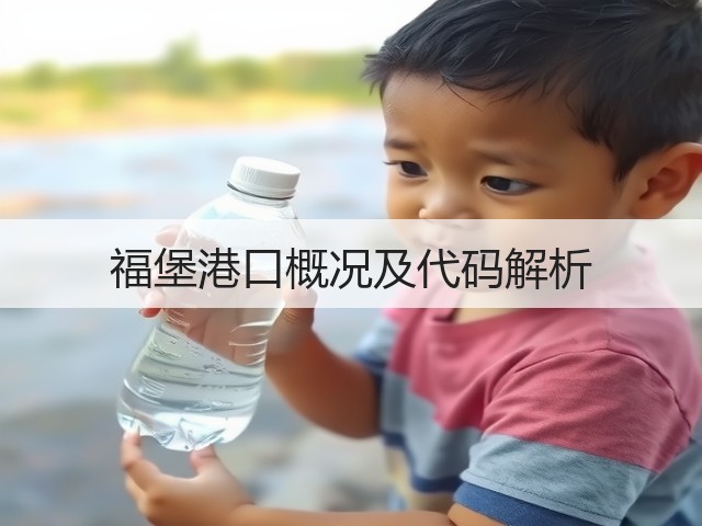 福堡港口概况及代码解析(图3) 福堡港口概况及代码解析(图3)