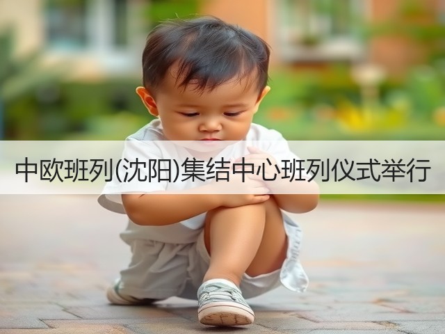 中欧班列(沈阳)集结中心班列仪式举行(图3) 中欧班列(沈阳)集结中心班列仪式举行(图3)