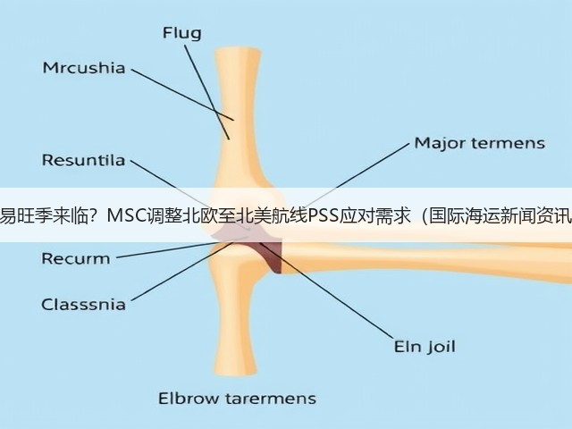 贸易旺季来临?MSC调整北欧至北美航线PSS应对需求(国际海运新闻资讯)(图1) 贸易旺季来临?MSC调整北欧至北美航线PSS应对需求(国际海运新闻资讯)(图1)