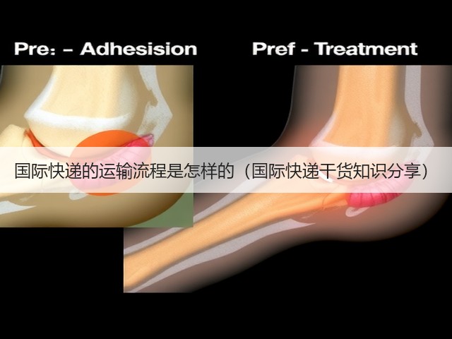 国际快递的运输流程是怎样的(国际快递干货知识分享)(图3) 国际快递的运输流程是怎样的(国际快递干货知识分享)(图3)