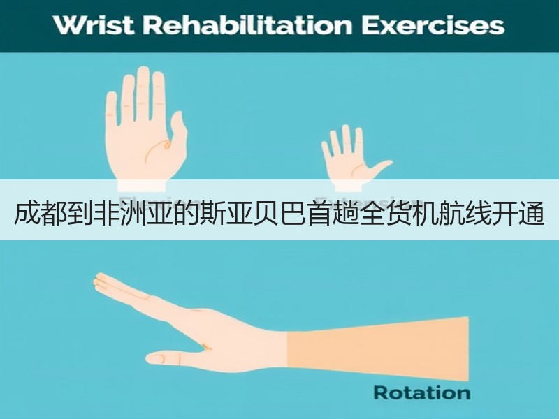 成都到非洲亚的斯亚贝巴首趟全货机航线开通