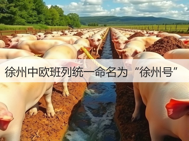 徐州中欧班列统一命名为“徐州号”(图3) 徐州中欧班列统一命名为“徐州号”(图3)