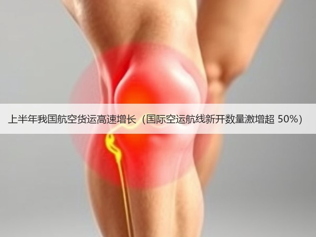 上半年我国航空货运高速增长(国际空运航线新开数量激增超 50%)(图3) 上半年我国航空货运高速增长(国际空运航线新开数量激增超 50%)(图3)