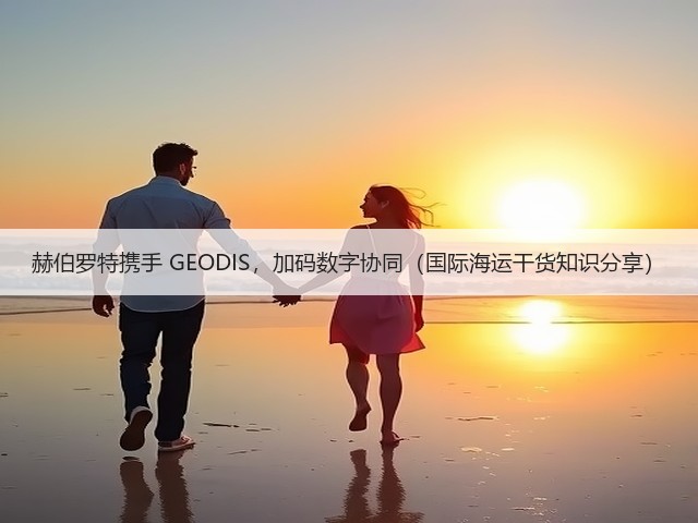 赫伯罗特携手 GEODIS,加码数字协同(国际海运干货知识分享)(图2) 赫伯罗特携手 GEODIS,加码数字协同(国际海运干货知识分享)(图2)