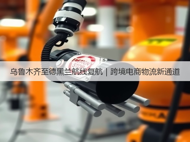 乌鲁木齐至德黑兰航线复航|跨境电商物流新通道(图3) 乌鲁木齐至德黑兰航线复航|跨境电商物流新通道(图3)