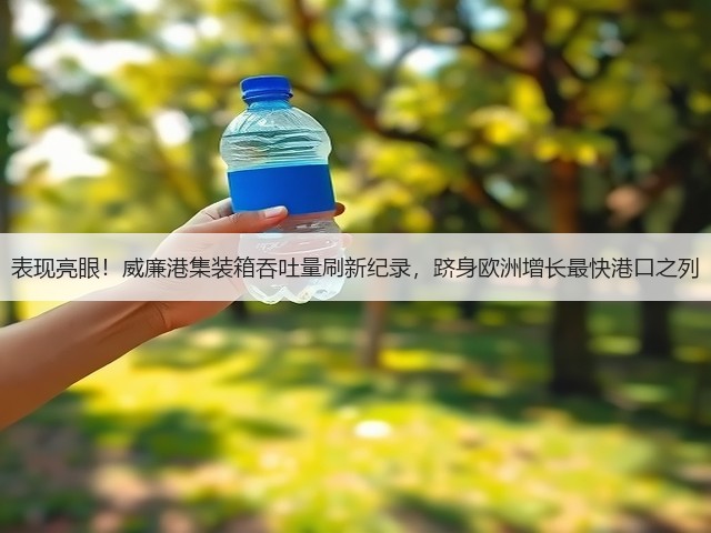 表现亮眼!威廉港集装箱吞吐量刷新纪录,跻身欧洲增长最快港口之列(图3) 表现亮眼!威廉港集装箱吞吐量刷新纪录,跻身欧洲增长最快港口之列(图3)