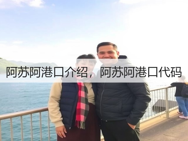 阿苏阿港口介绍,阿苏阿港口代码(图2) 阿苏阿港口介绍,阿苏阿港口代码(图2)