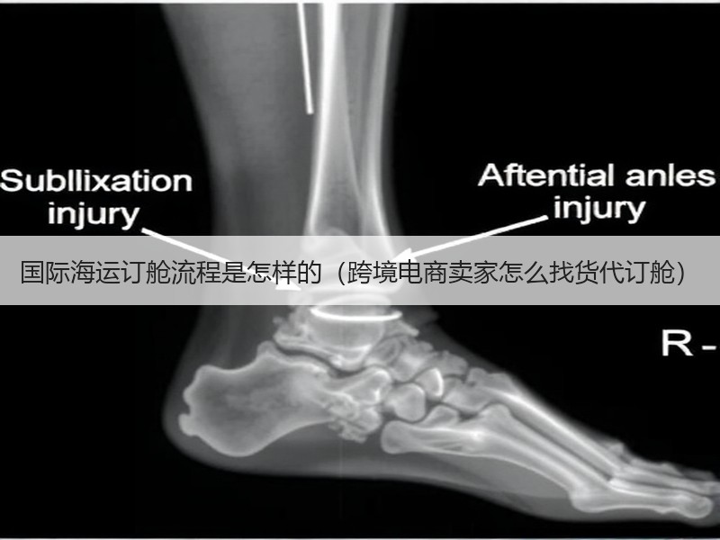 国际海运订舱流程是怎样的（跨境电商卖家怎么找货代订舱）