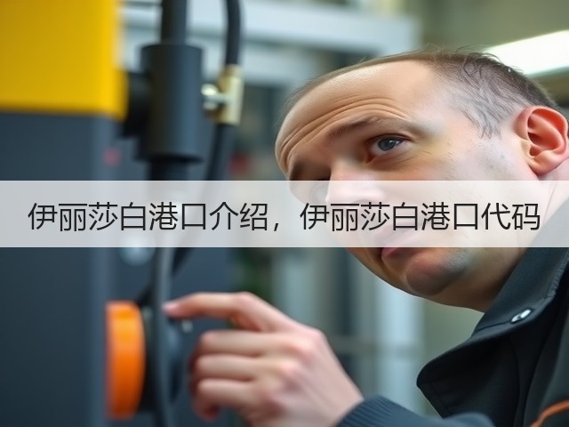 伊丽莎白港口介绍,伊丽莎白港口代码(图3) 伊丽莎白港口介绍,伊丽莎白港口代码(图3)
