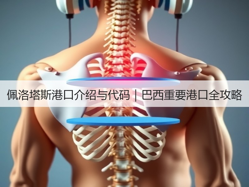 佩洛塔斯港口介绍与代码｜巴西重要港口全攻略