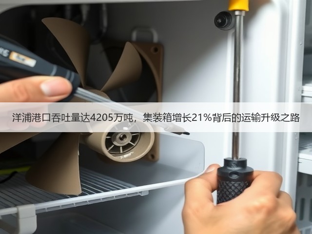 洋浦港口吞吐量达4205万吨,集装箱增长21%背后的运输升级之路(图3) 洋浦港口吞吐量达4205万吨,集装箱增长21%背后的运输升级之路(图3)