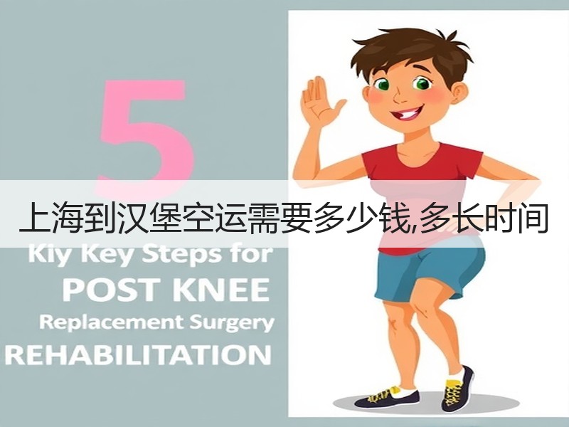 上海到汉堡空运需要多少钱,多长时间