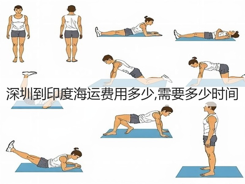 深圳到印度海运费用多少,需要多少时间
