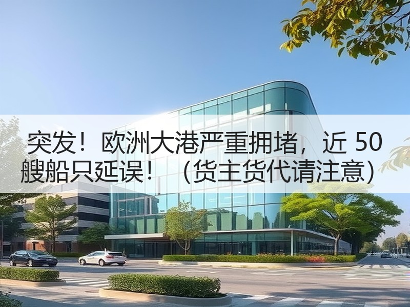 突发！欧洲大港严重拥堵，近 50 艘船只延误！（货主货代请注意）